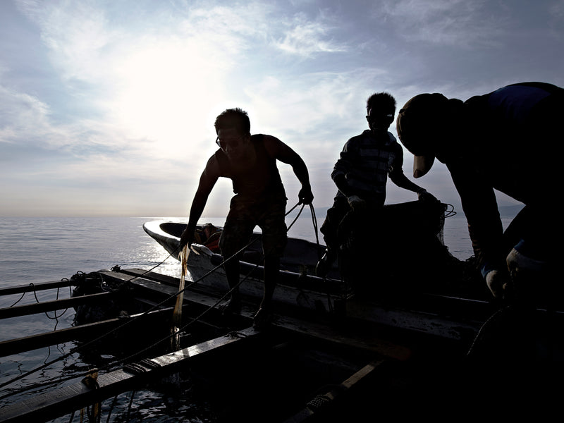 Men working with ropes on a pontoon with the ocean in the background