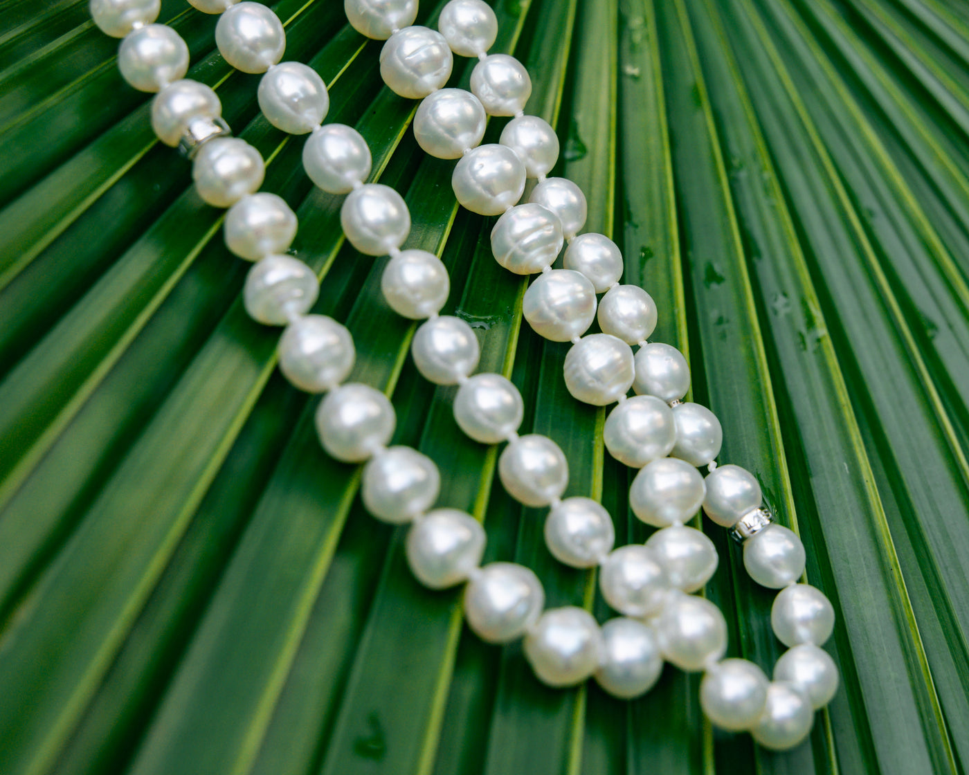 Pearl necklace on a green leaf