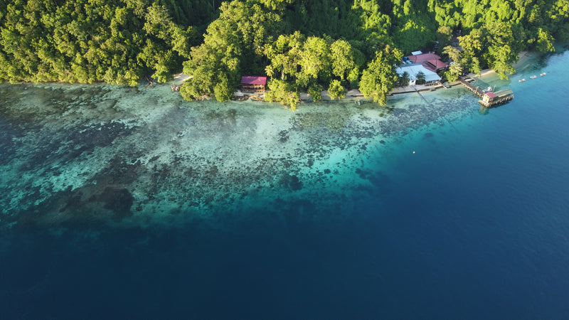 Aerial view of a tropical island with lush greenery and clear blue waters.