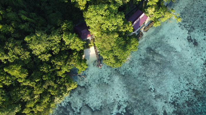 Aerial view of a house surrounded by dense green trees with a clear blue water body.