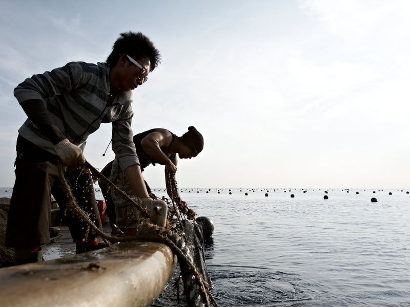 Two people working with ropes by a body of water.