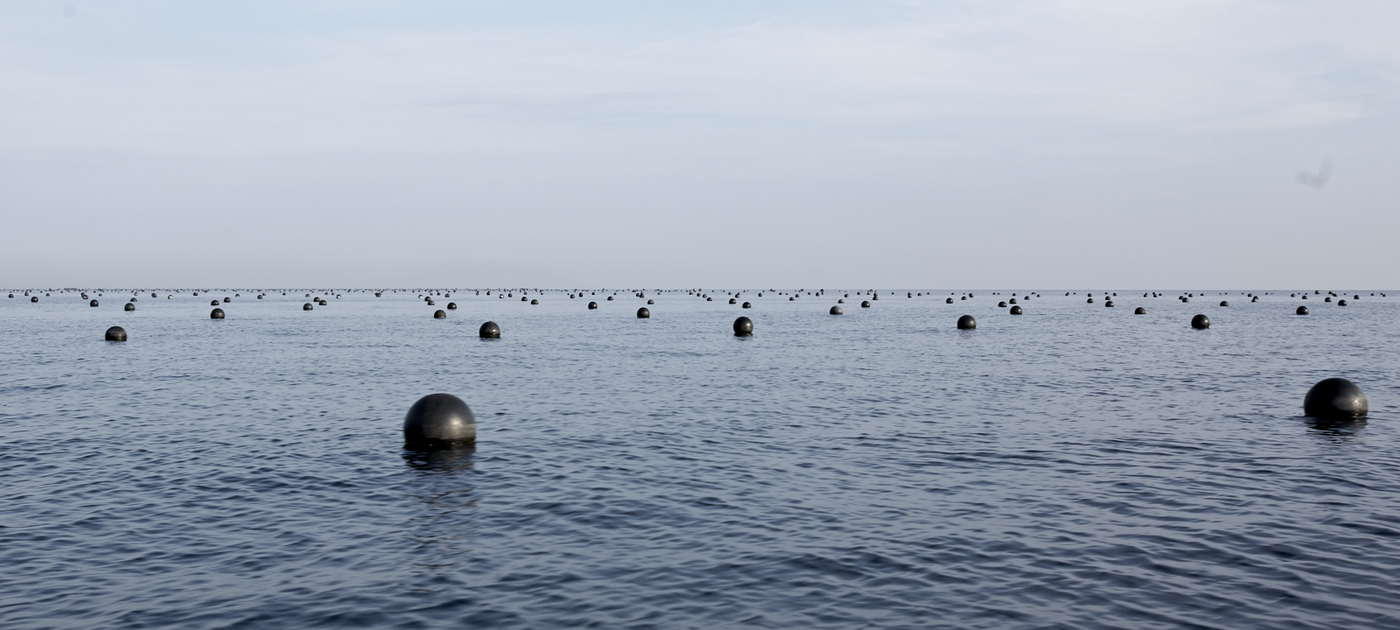 Buoys in the water