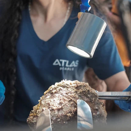 Woman performing a operation on a oyster shell