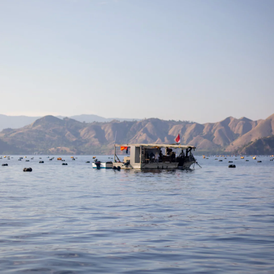 Boat pontoon on the water at a pearl farm