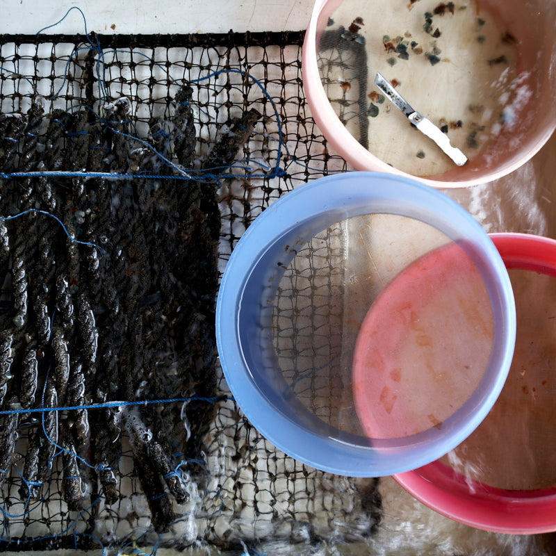 Close-up of a fishing net with a pink container and a white lid on a textured surface.