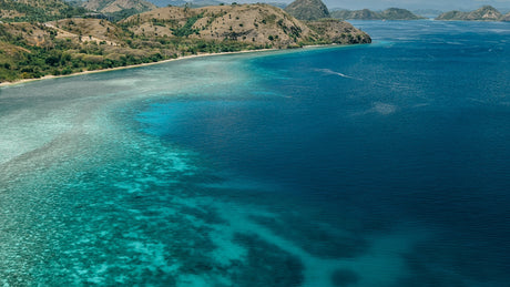Born from the Blue: Why Every Pearl Begins with a Healthy Ocean