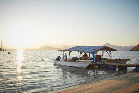 The Movement from Black to Green Friday