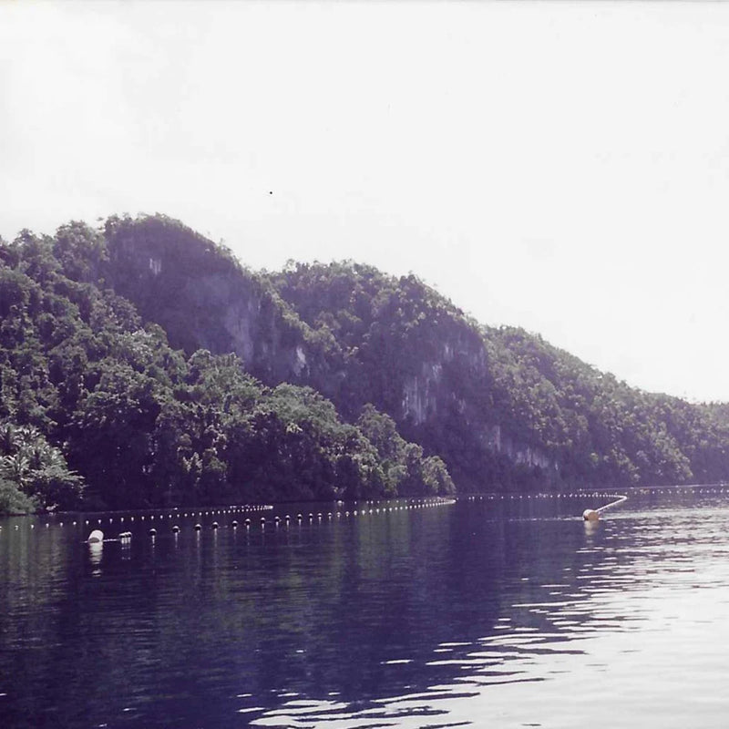 Black buoys in the ocean by the shore with a rugged landscape and tall limestone hills. 