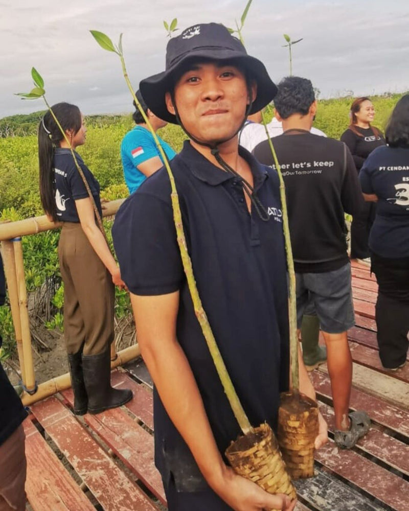 Person holding saplings in a field with other people in the background