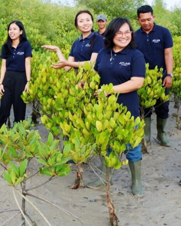 Group of people in blue shirts standing among young trees, likely in a conservation or environmental setting.
