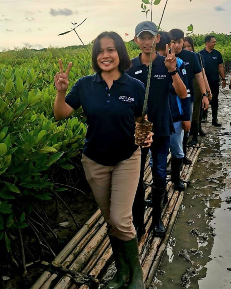 Group of people on a wooden path through a mangrove forest, with one person holding a small plant.