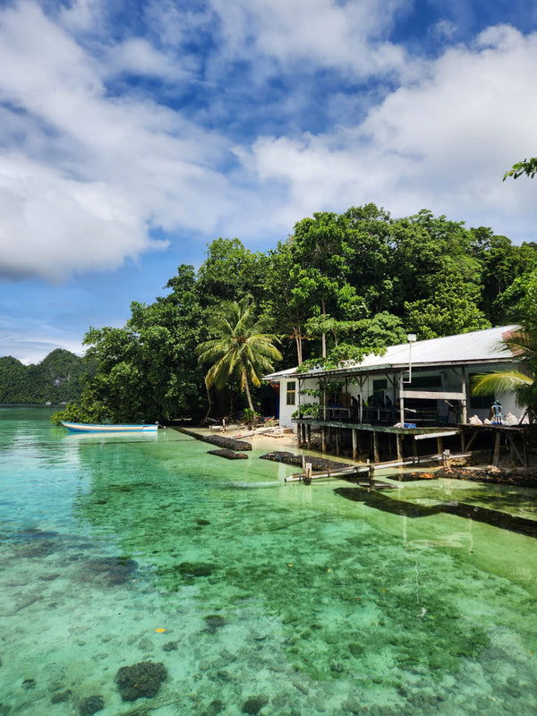 Tropical island with clear turquoise water, a white house, and green trees.