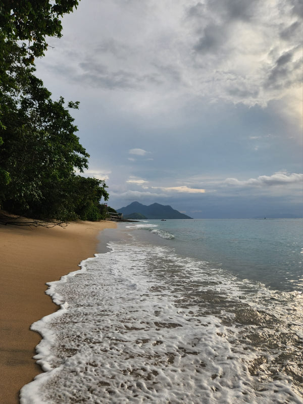 Beach scene with waves crashing onto the shore, trees on one side, and mountains in the distance.