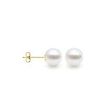 High Button Studs 18K YG