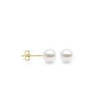 High Button Studs 18K YG